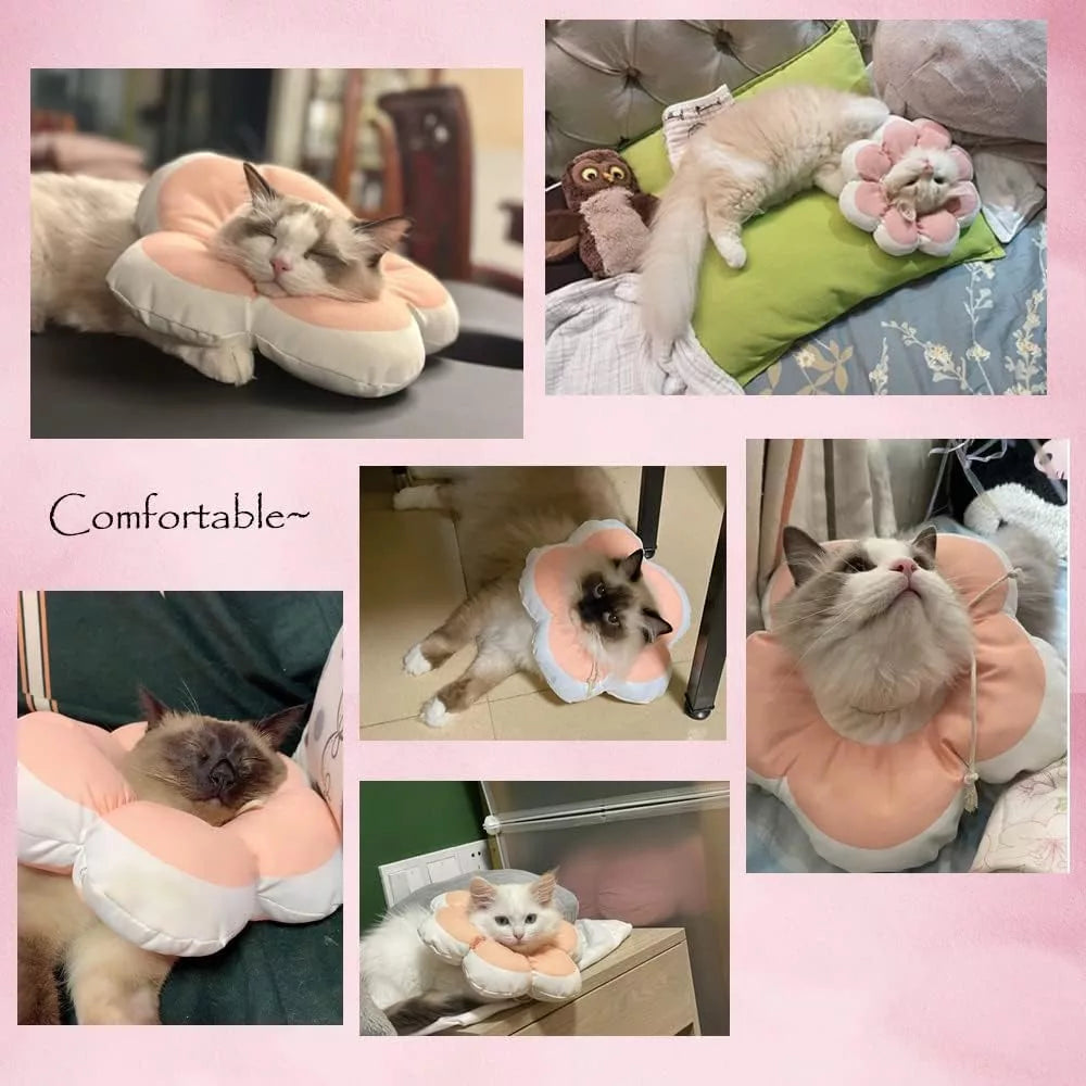 Adjustable Cat Recovery Collar