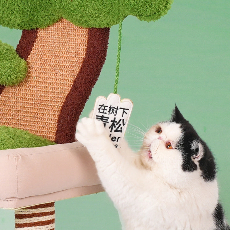 Bonsai Cat Tree