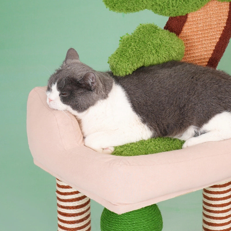 Bonsai Cat Tree