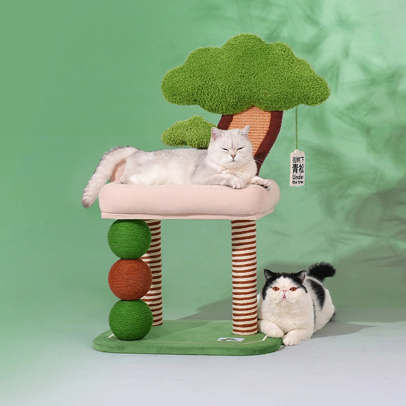 Bonsai Cat Tree