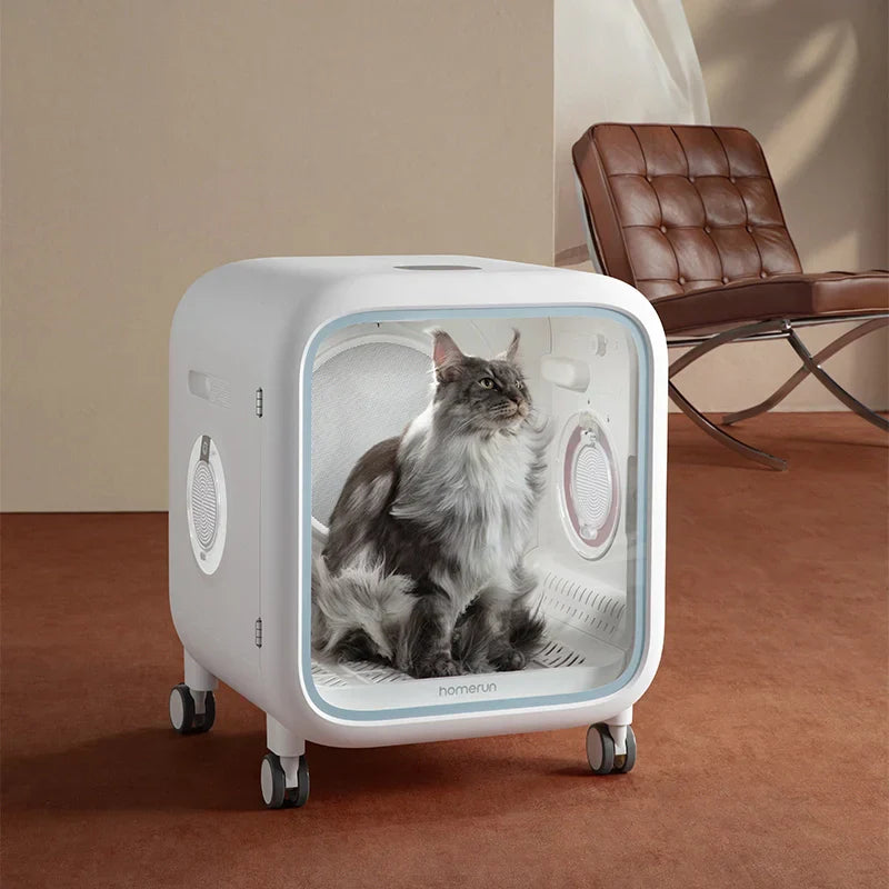 Pet Grooming Trends You Can Trust Now