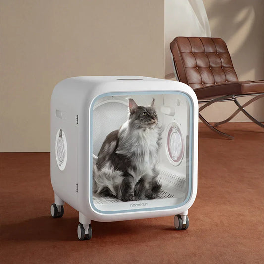 Pet Grooming Trends You Can Trust Now