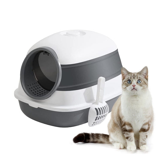 Why Cats Poop Outside Litter Box?