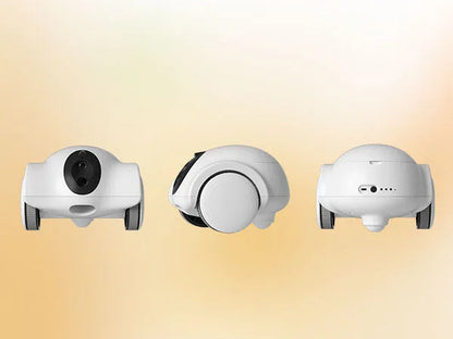 1080P Movable Pet Robot Features
