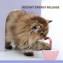 Interactive Laser Toy