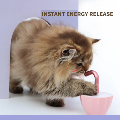 Interactive Laser Toy