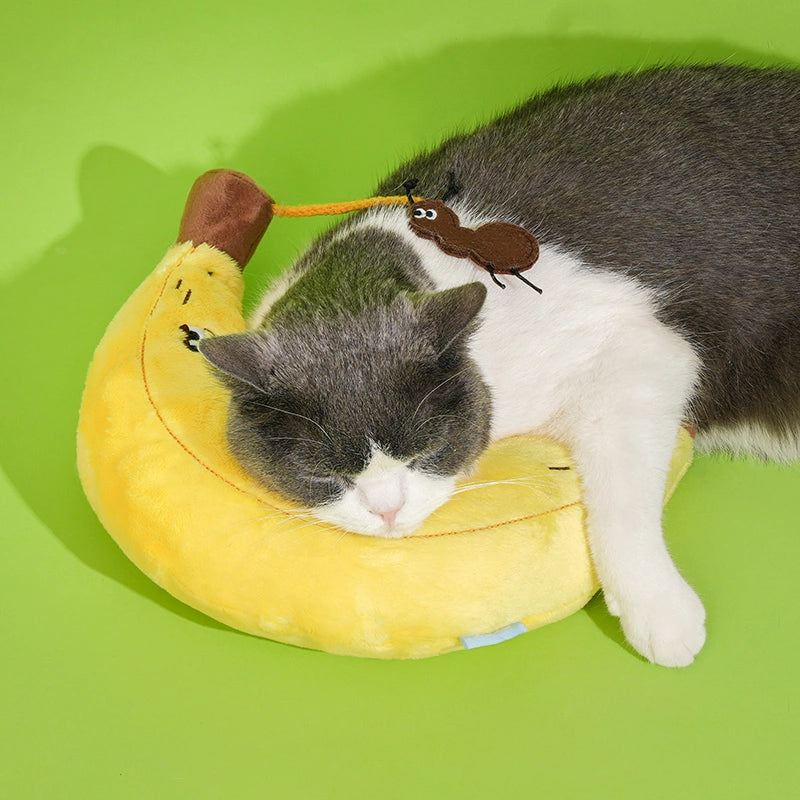 2-in-1 Cat Toy Pillow