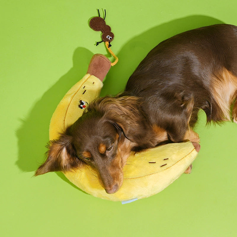 2-in-1 Cat Toy Pillow