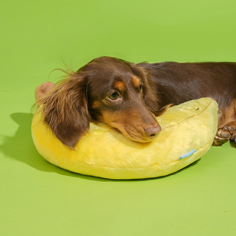 2-in-1 Cat Toy Pillow