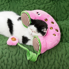2-in-1 Cat Toy Pillow