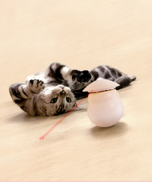 截屏2025-11-13 14.01.49.png__PID:dda42a00-29fa-4633-b2ce-d01fca87149a