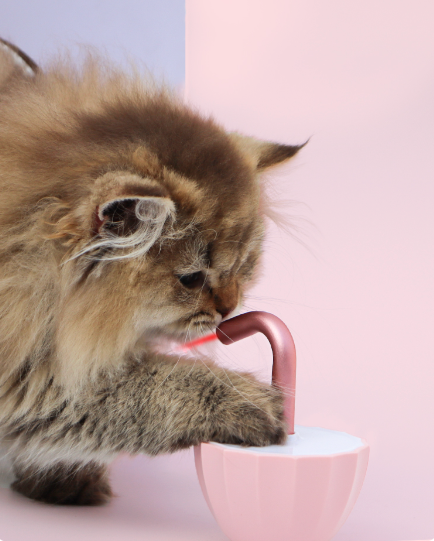 截屏2025-11-13 14.02.52.png__PID:54dda42a-0029-4ae6-b3b2-ced01fca8714