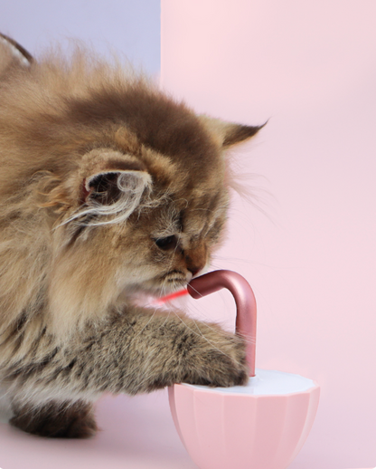 截屏2025-11-13 14.02.52.png__PID:54dda42a-0029-4ae6-b3b2-ced01fca8714