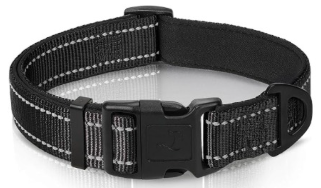 dog collar