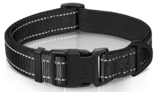 dog collar