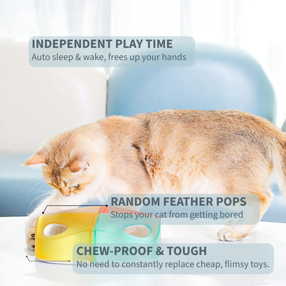 Smart Sensor Feather Box