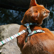 Stripes Pet Leash