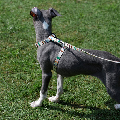 Stripes Pet Leash