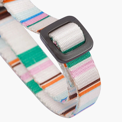 Stripes Pet Leash