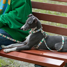 Stripes Pet Leash