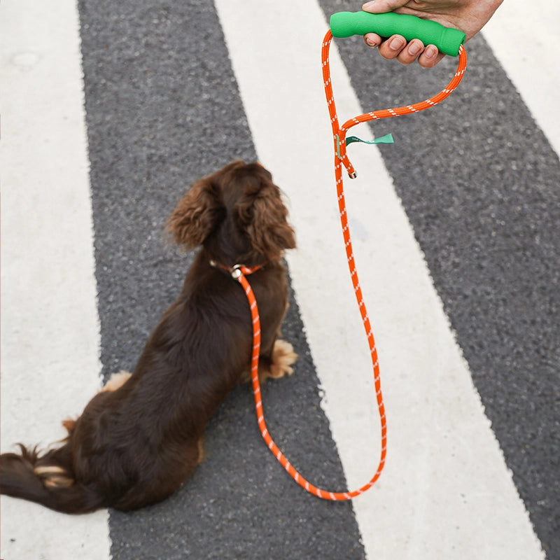 All-in-One Dog Leash