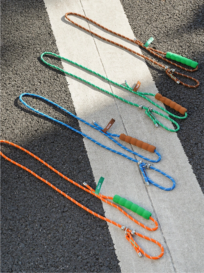 All-in-One Dog Leash