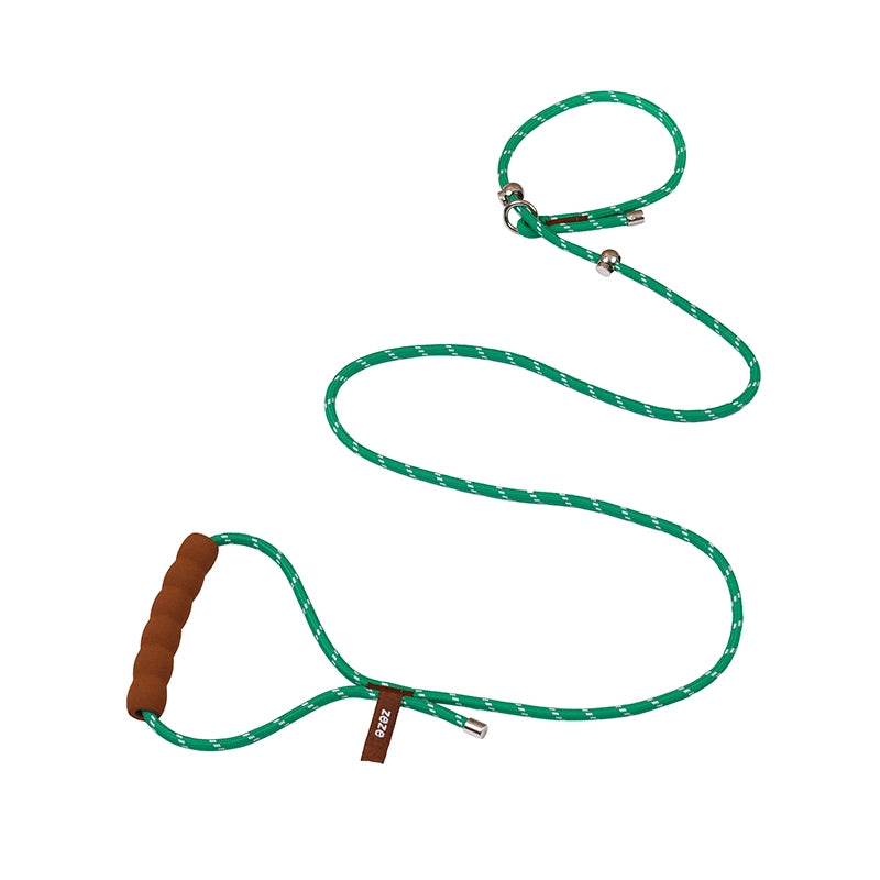 All-in-One Dog Leash