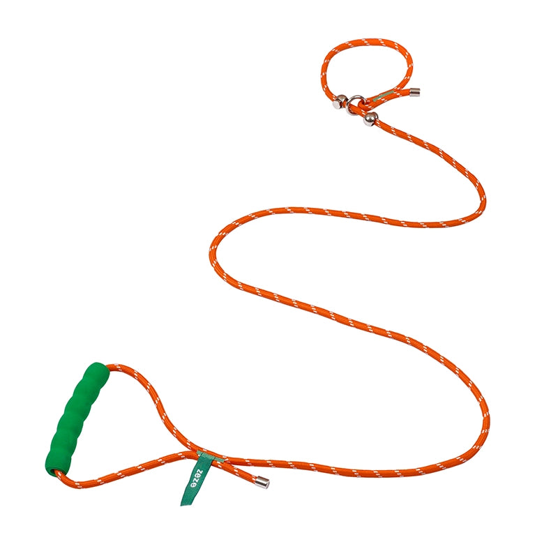 All-in-One Dog Leash