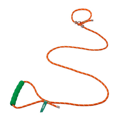 All-in-One Dog Leash