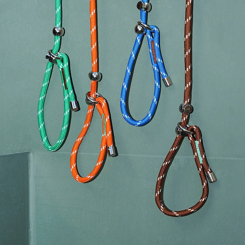 All-in-One Dog Leash