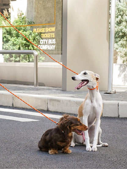 All-in-One Dog Leash