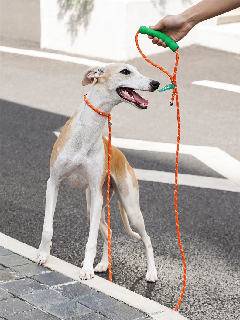 All-in-One Dog Leash