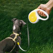 Auto-Retractable Pet Leash
