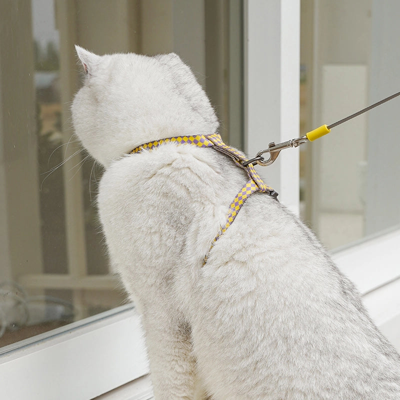 Auto-Retractable Pet Leash