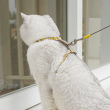 Auto-Retractable Pet Leash