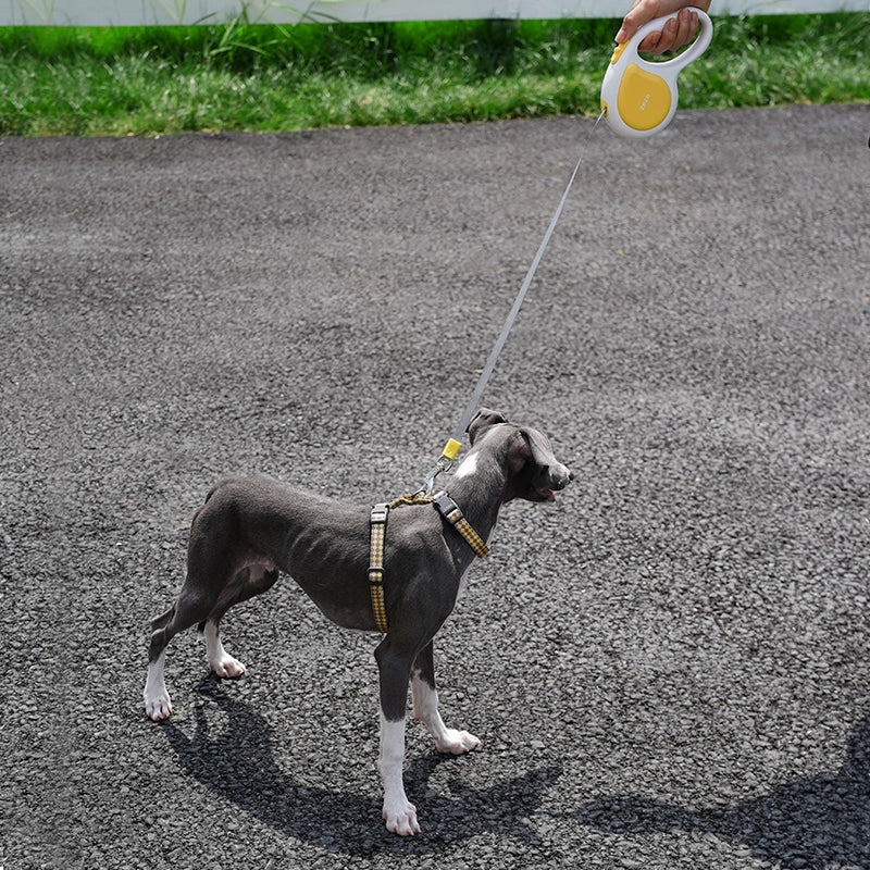 Auto-Retractable Pet Leash