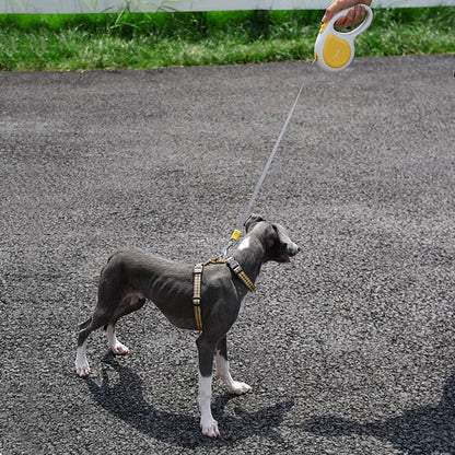 Auto-Retractable Pet Leash
