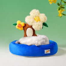 Plant Cat Bed & Scratcher 2-in-1