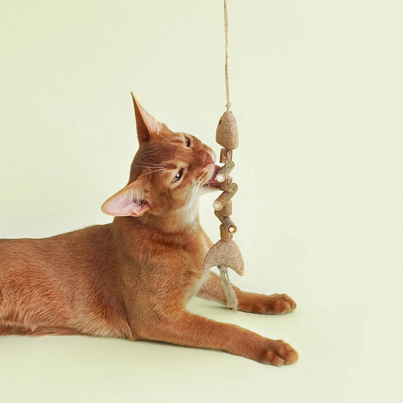 Cat Catnip Toy
