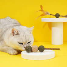 Cat Catnip Toy