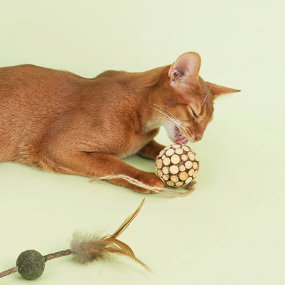 Cat Catnip Toy