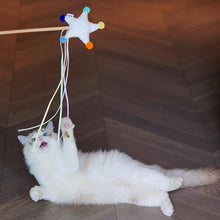 Stars Cat Teaser Wand