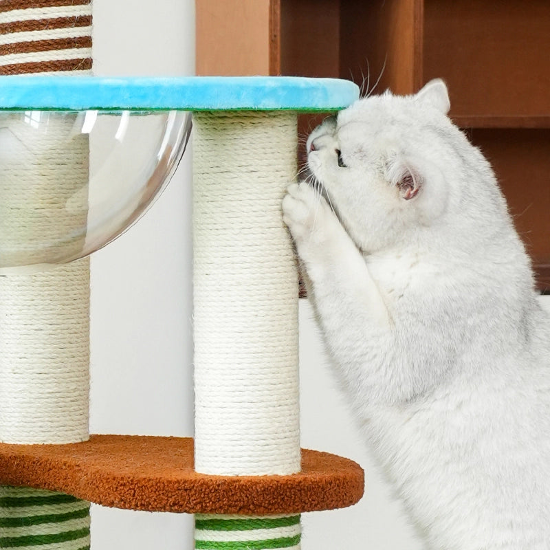 Spring Garden Frame Cat Tree
