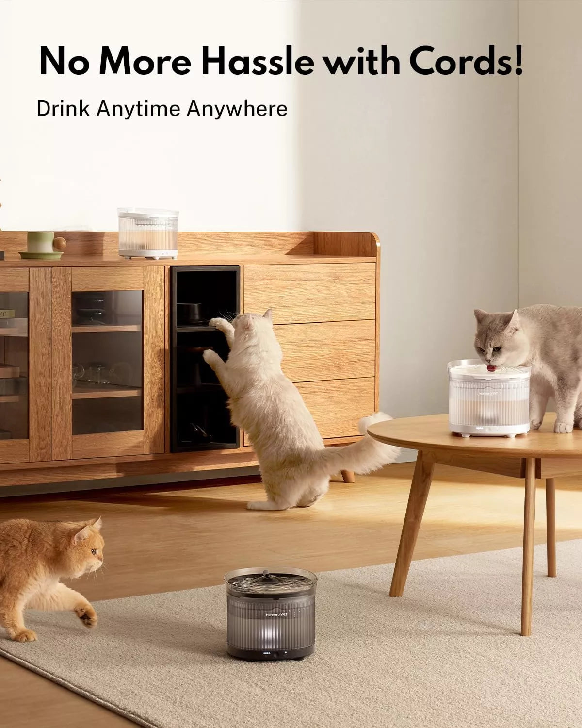 Wireless Pet Water Fountain BF10