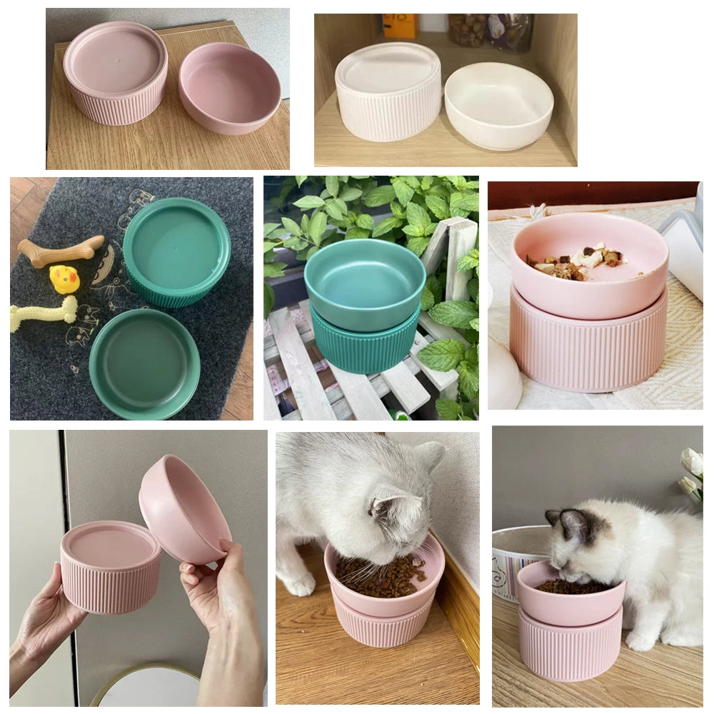 Ergonomic Cat Bowl Usage scenarios