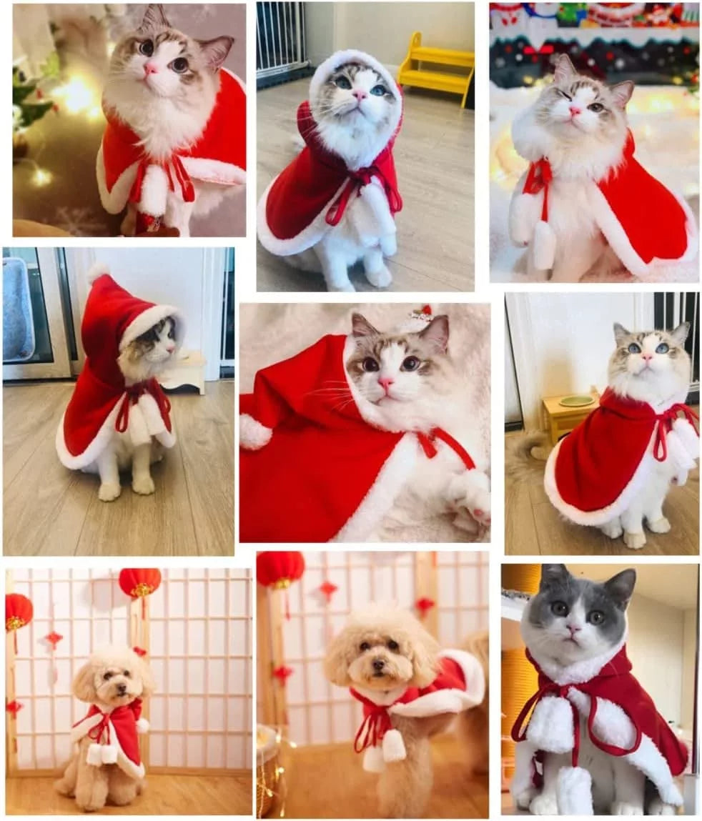 Christmas Pet Red Cloak