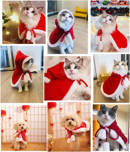 Christmas Pet Red Cloak
