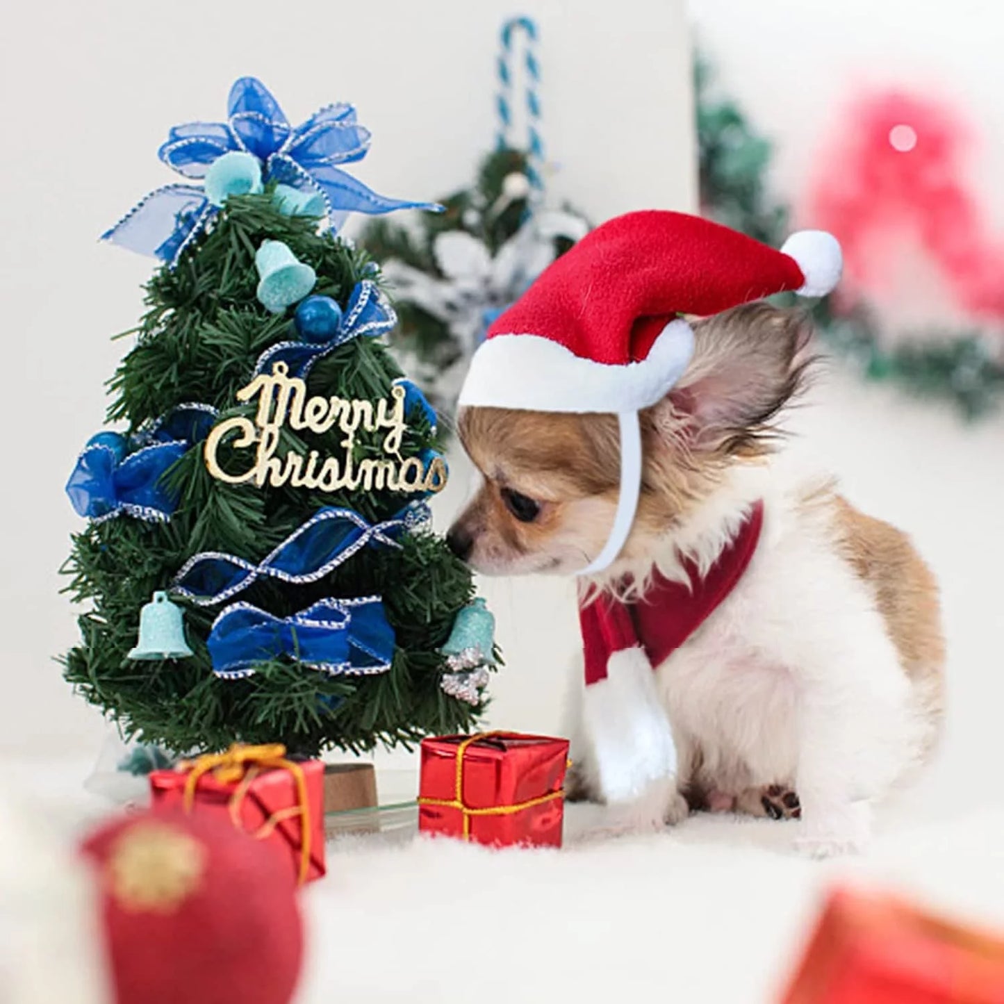 Christmas Pet Red Hat