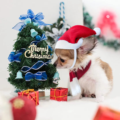 Christmas Pet Red Hat