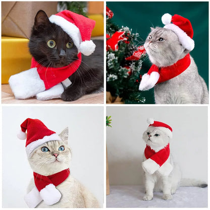 Christmas Pet Red Hat